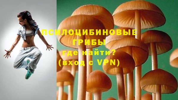 спайс Елизово