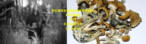 тгк Белокуриха